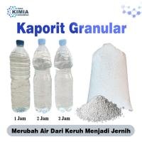 Kaporit Granular TCCA 90%